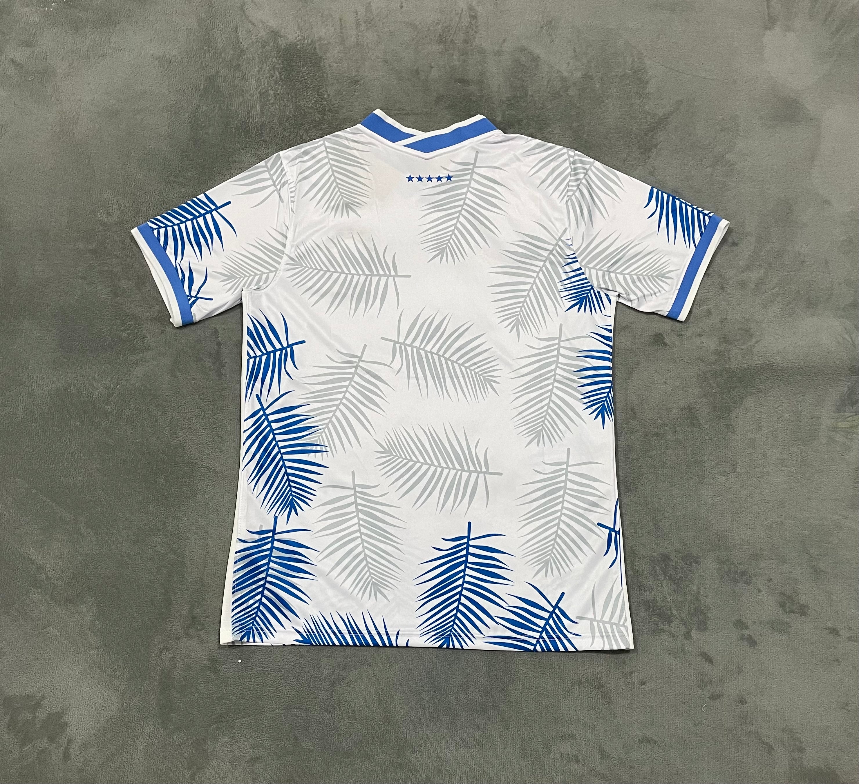 Maillot 24/25 Brésil Bleu