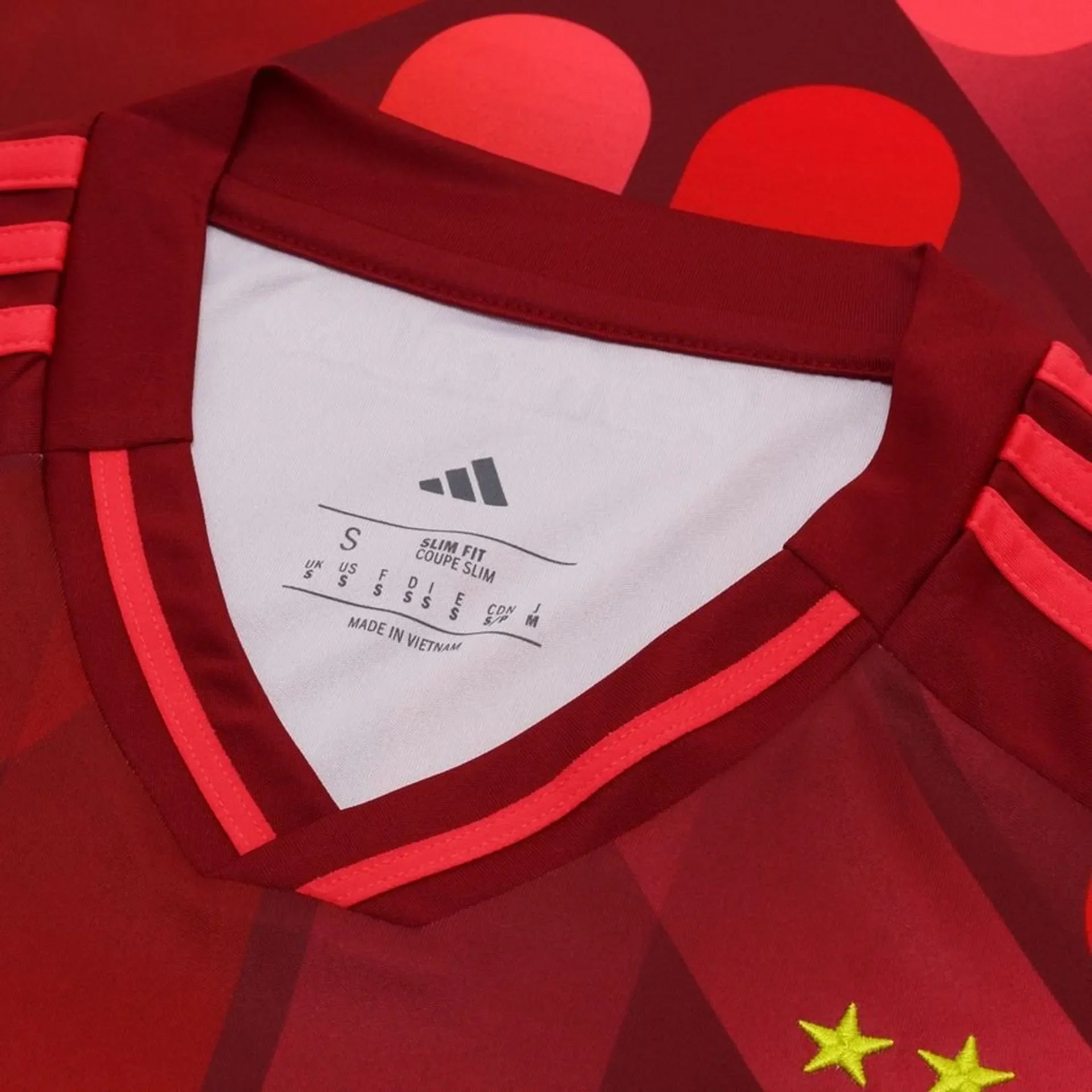 Maillot EURO 2025 Allemagne