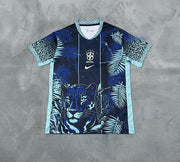 Maillot 25/26 Brésil