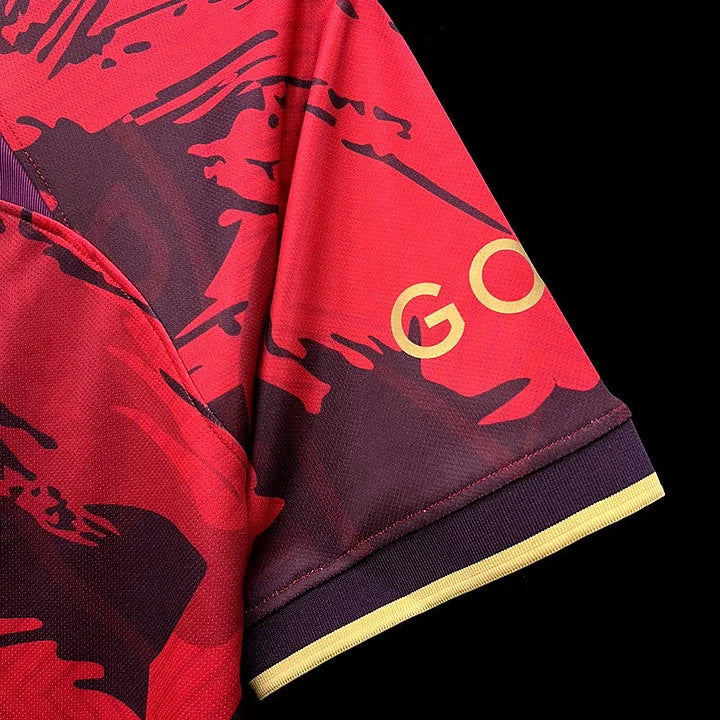 Maillot 24/25 PSG Concept