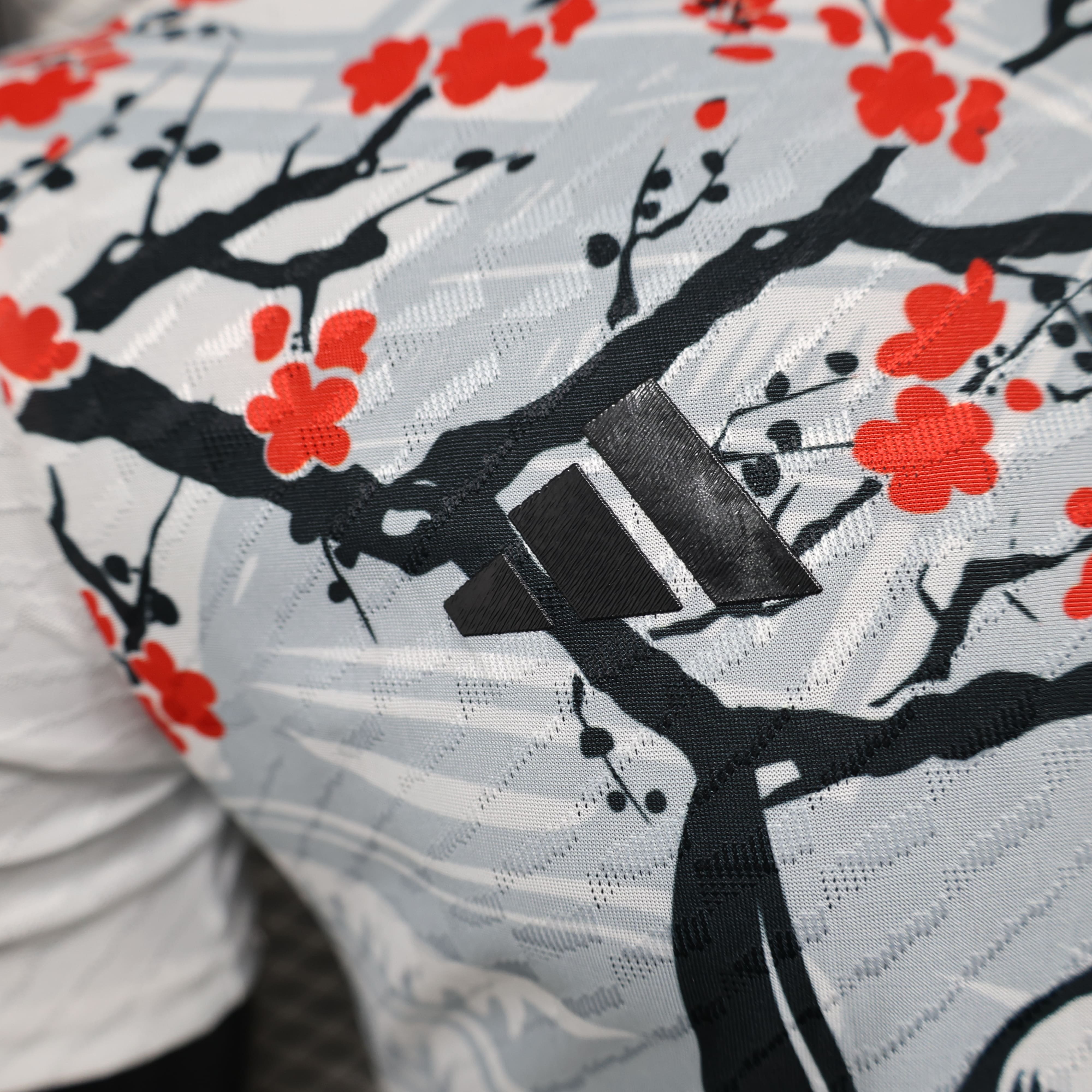 Maillot 25/26 Japon Spécial