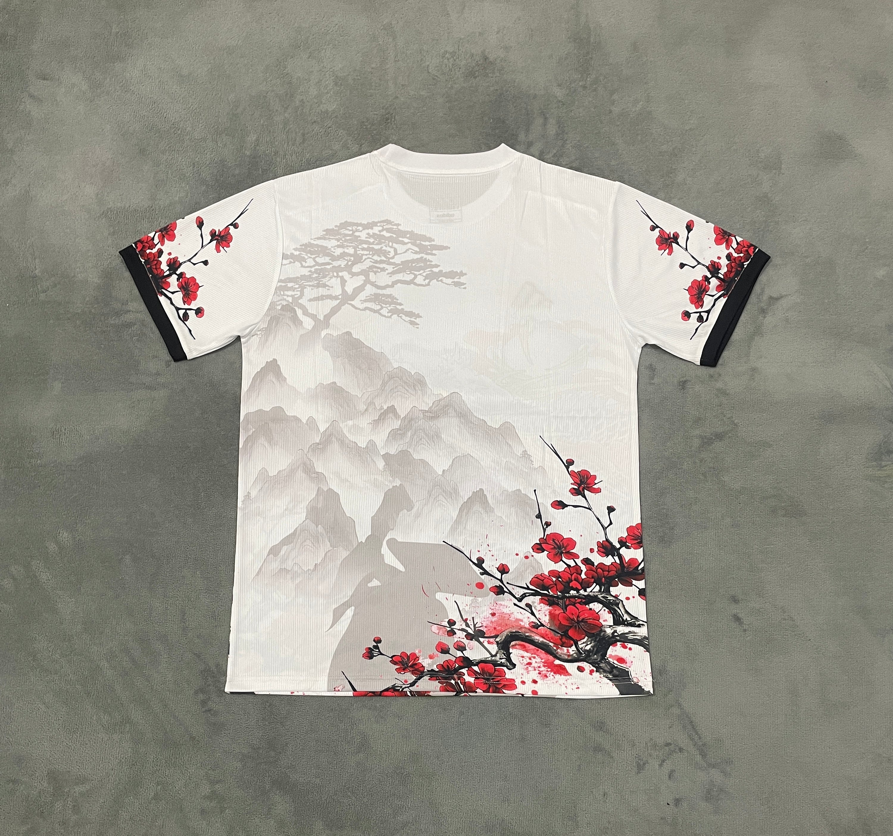 Maillot 24/25 Japon Dragon