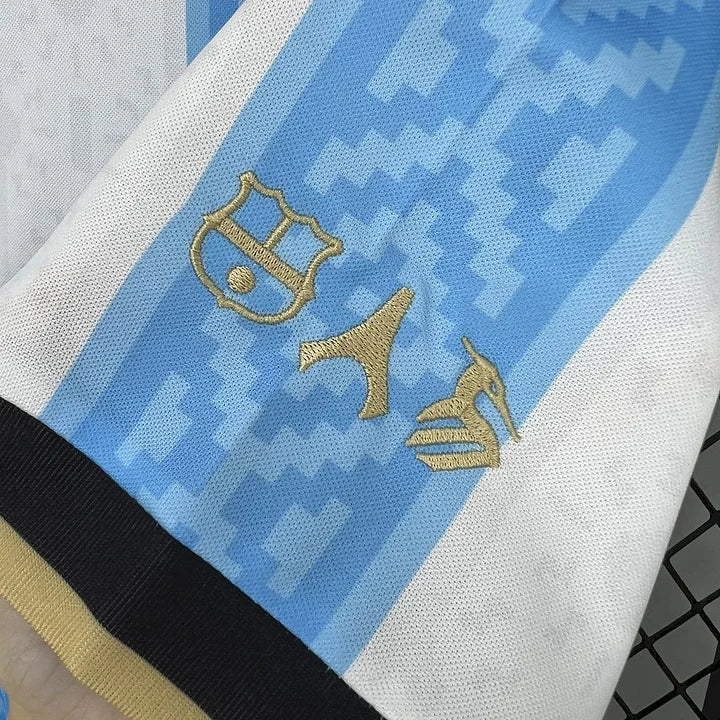 Maillot 25/26 Argentine Concept