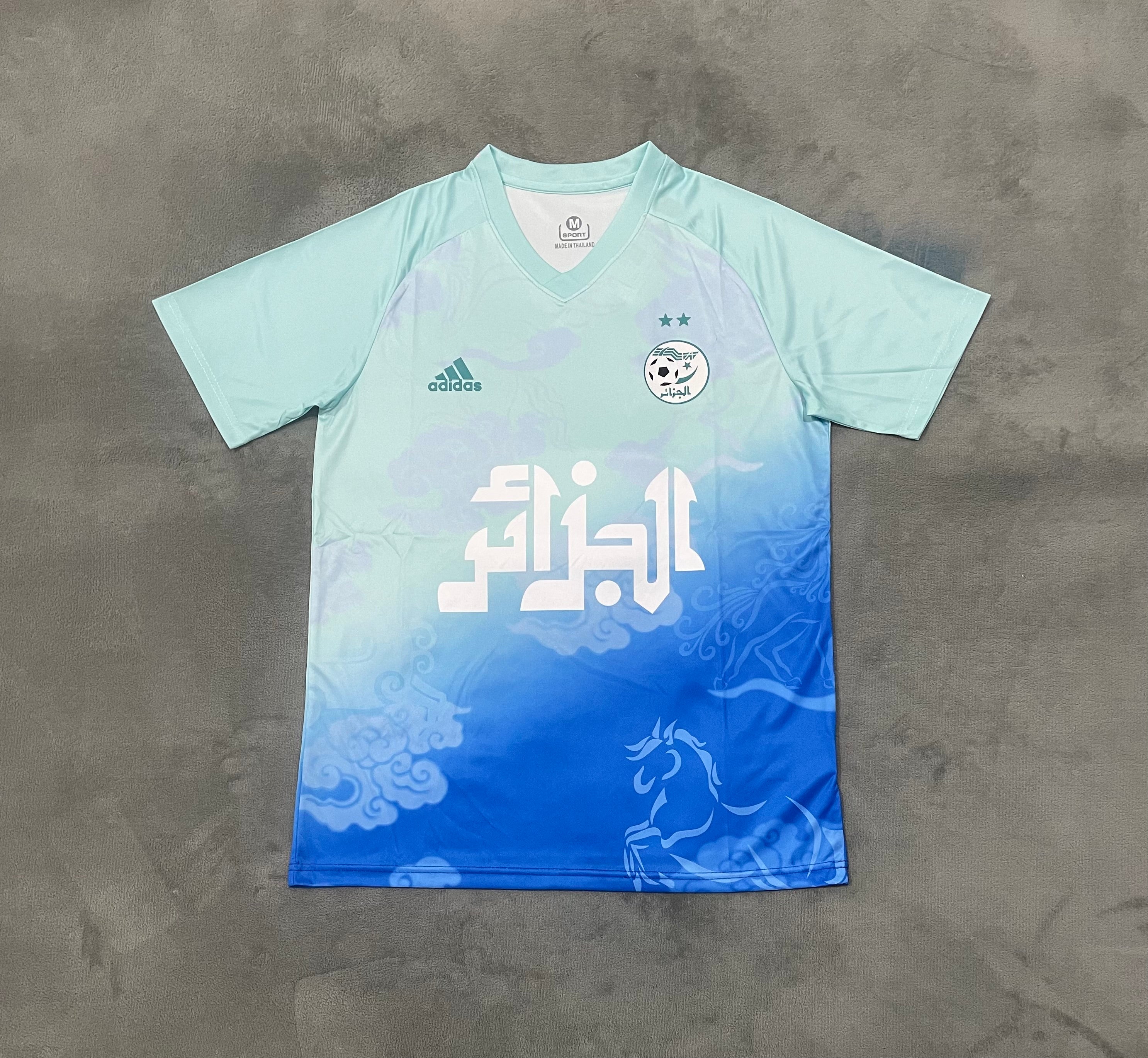 Maillot 25/26 Algérie Bleu Concept