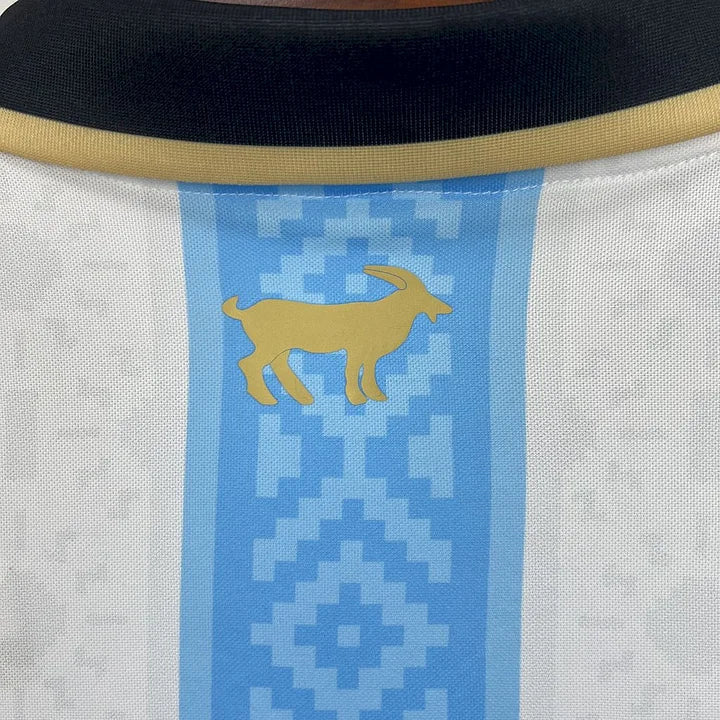 Maillot 25/26 Argentine Concept