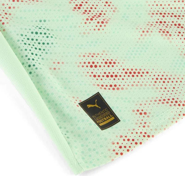 Maillot 25/26 Portugal Extérieur Vert
